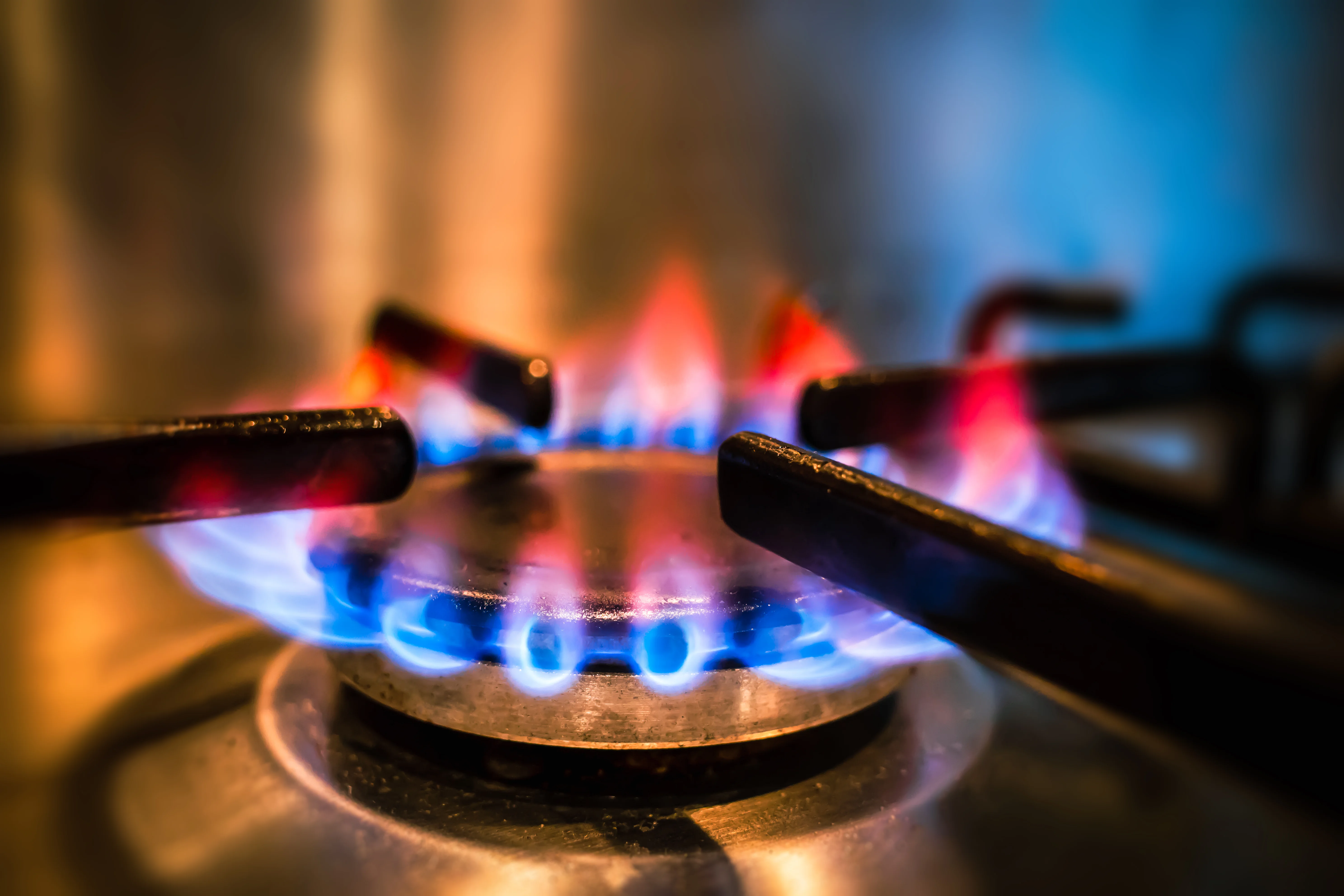 LPG System Health Check